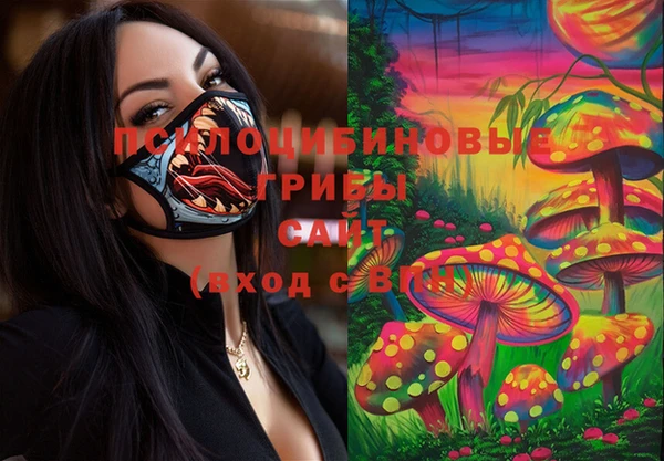 мдпв Балахна