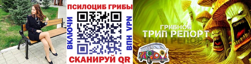наркота  Верхнеуральск  Галлюциногенные грибы Cubensis 